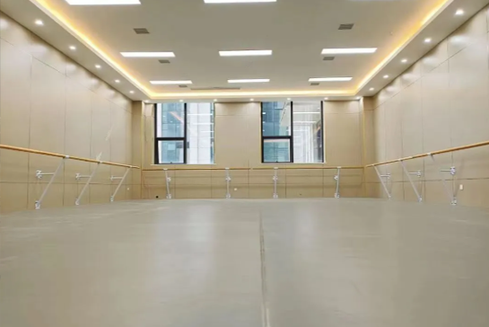 舞蹈地胶多少钱