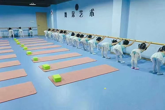 舞蹈地胶价格