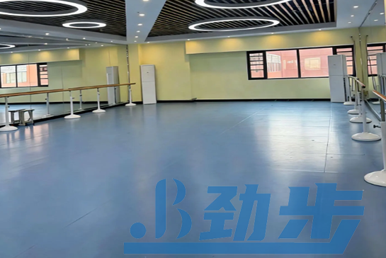 舞蹈地胶价格