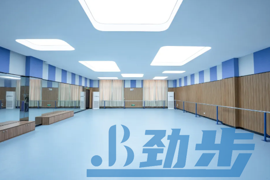 舞蹈地胶价格