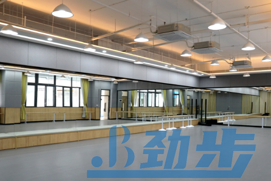 舞蹈地胶价格