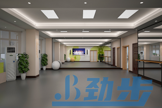 舞蹈地胶价格