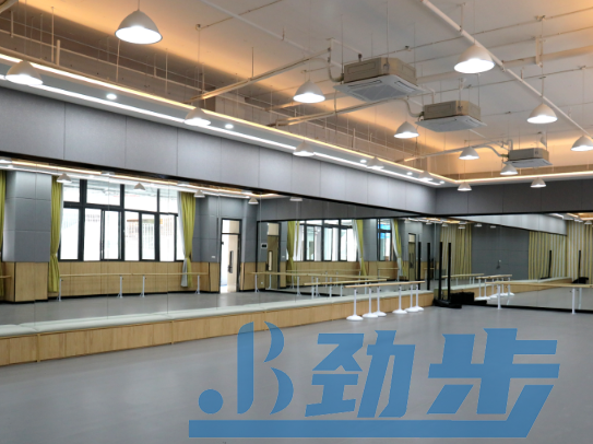 舞蹈地胶价格